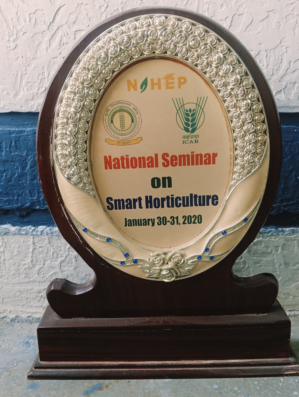 Rajasthan State Recognition